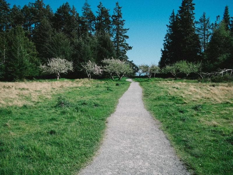 Eine Gruppe glücklicher Kinder vor ihrem ersten Graffiti-Piece